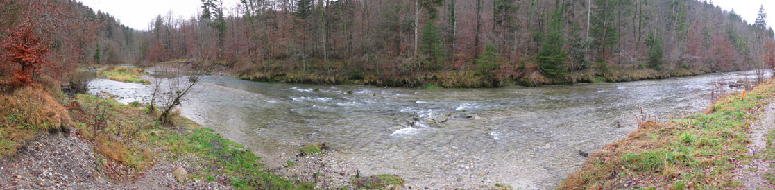 P2_Winterthur_Toess_River_0.jpg